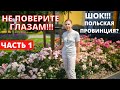 Неужели ТАК живут Поляки В ПРОВИНЦИИ? Уровень Жизни простых поляков. Blachownia. Жизнь в Польше.