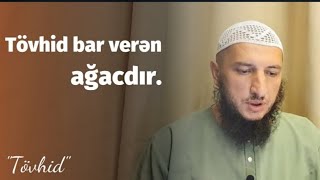 Tövhid bar verən ağacdır. Adil Rəcəbov