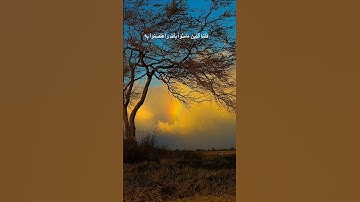دقيقة من القرآن الكريم بصوت الشيخ ماهر المعيقلي سورة المائدة #قرآن #religion #قرآن_كريم #قران