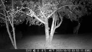 2025 — DSCF1383