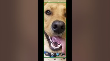 How to withdraw USD from crypto exchanges and wallets using the CoinZoom App