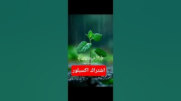 قران كريم #اكسبلور #المصحف