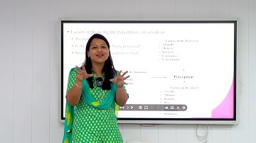 Perception & Individual Decision Making