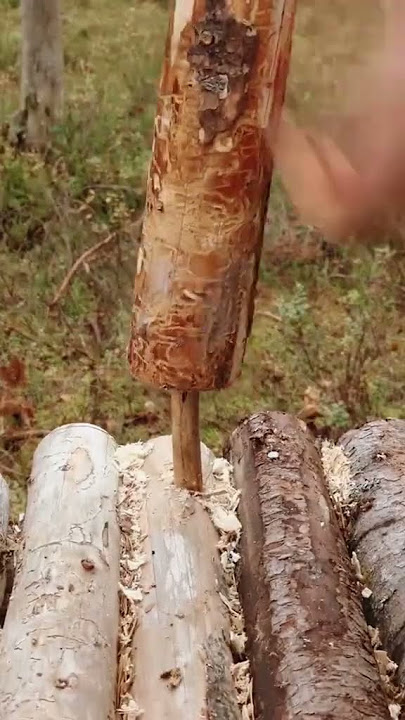 Building a house Alone part 4 #bushcraft #build #ourdoor #survival #fyp #craftingvisionary