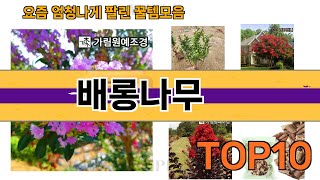 가장 많이 팔린 배롱나무 추천 Top10!