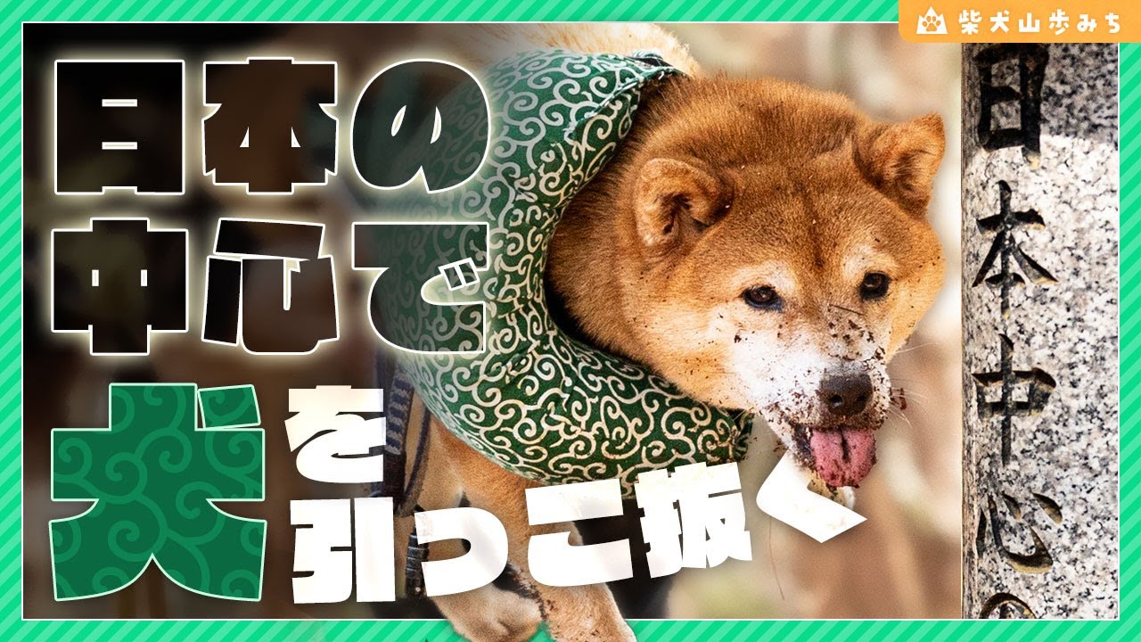 柴犬散歩】日本のど真ん中で掘り当てた柴犬ドリーム｜信州辰野・大城山