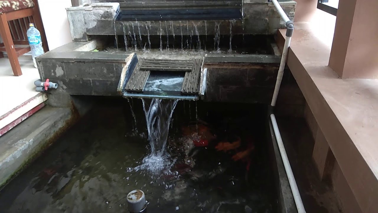Kolam koi minimalis di halaman teras rumah - YouTube