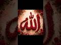 YA Allah ☝️#allah #quran #viral #islam #shorts #shortvideo #short #youtubeshorts #viralvideo #song