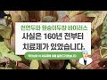 천연두와 원숭이 두창, 사실은 160년 전부터 치료제가 있습니다. Download Mp4