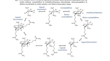 Module 6C, 2 metathesis catalytic cycle