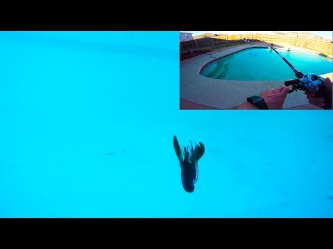 Underwater Senko - Bass Fishing Beast 