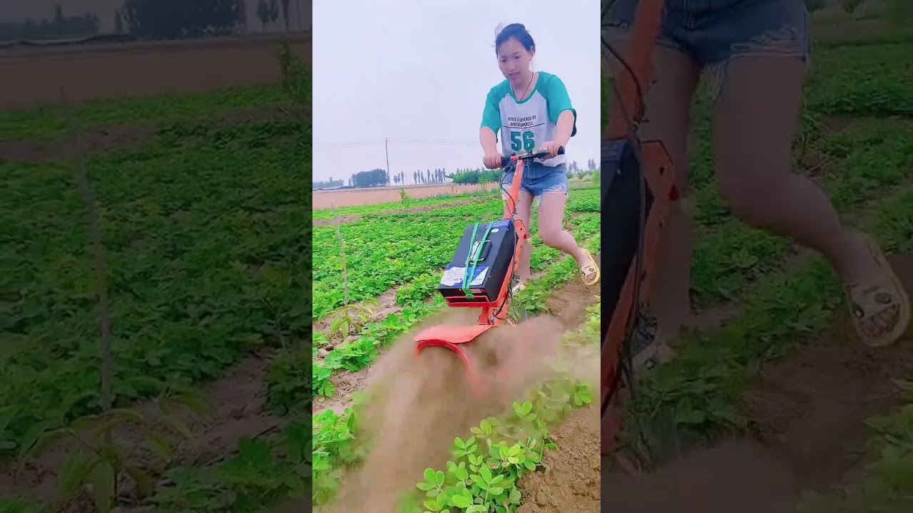 48V rechargeable micro-tillage electric weeder One machine for multiple uses Save time, effort a