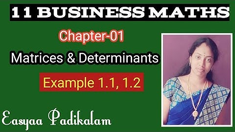 11 Business Maths - Example 1.1, 1.2 - easy to understand
