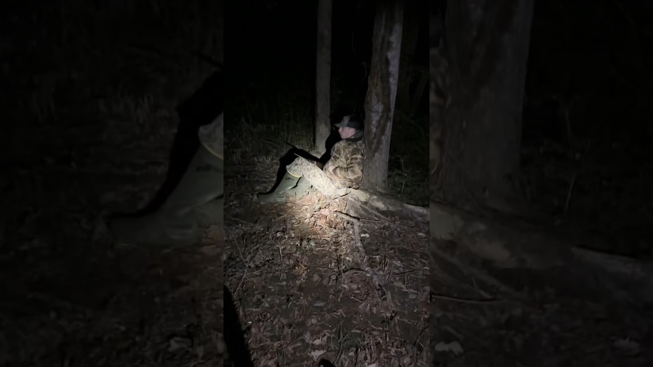 Setting up on Beaver Hut🦫 