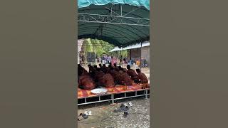 GRUP DAYAH NURIS ZIKIR MAULID - Terbaru