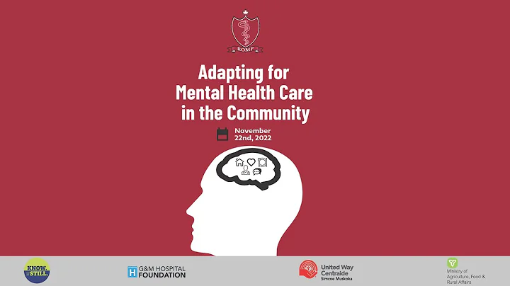 Mary Spring - Adapting for Mental Health Care in t...