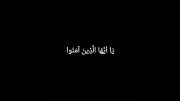 سورة النساء الآية 136 - محمد صديق المنشاوي.