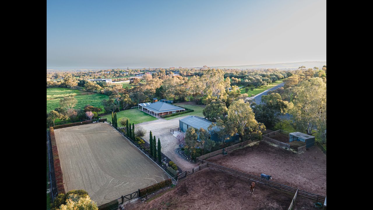 Equine Excellence on 5 Acres YouTube