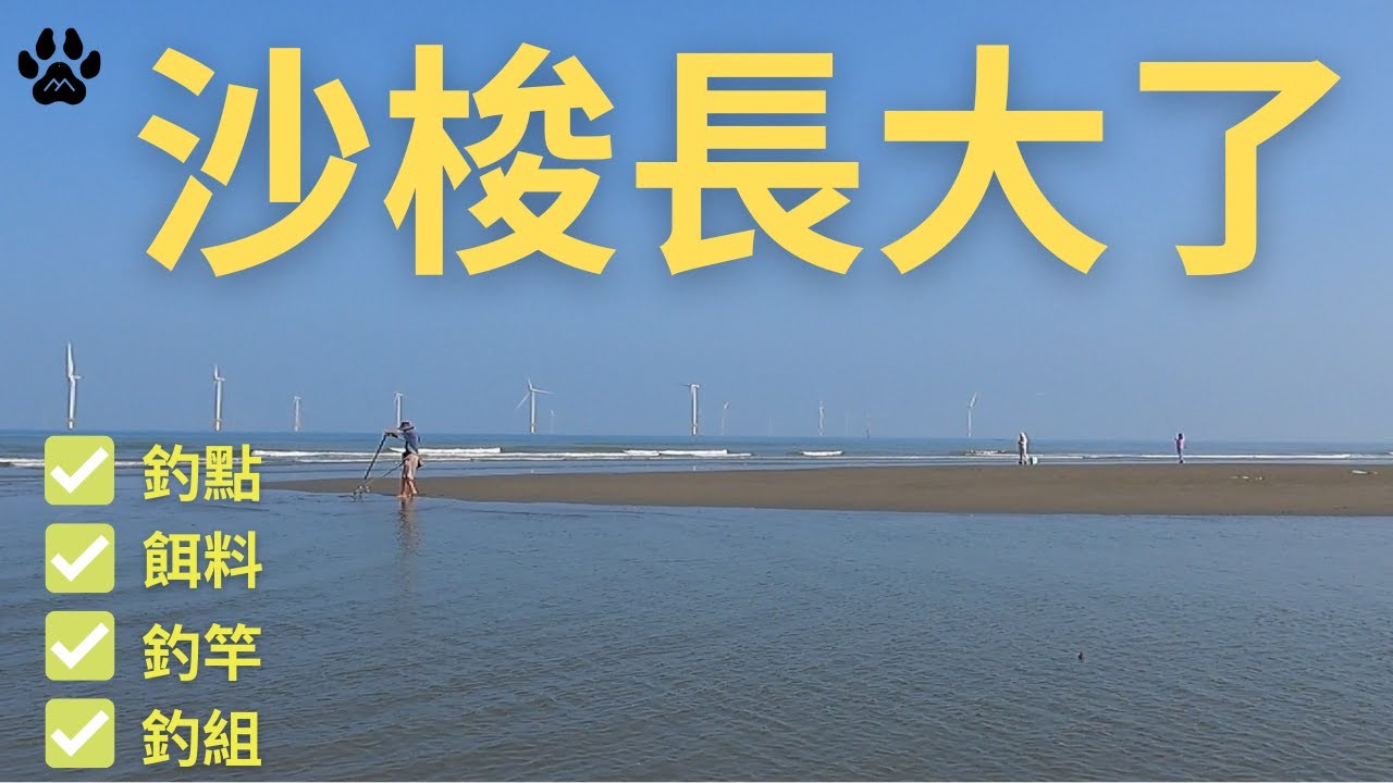 沙梭體型還不錯!!!非常舒適好停車有公廁的釣點!!!#山狗大#釣魚#fishing#台湾釣り#遠投#沉底#灘釣#沙梭