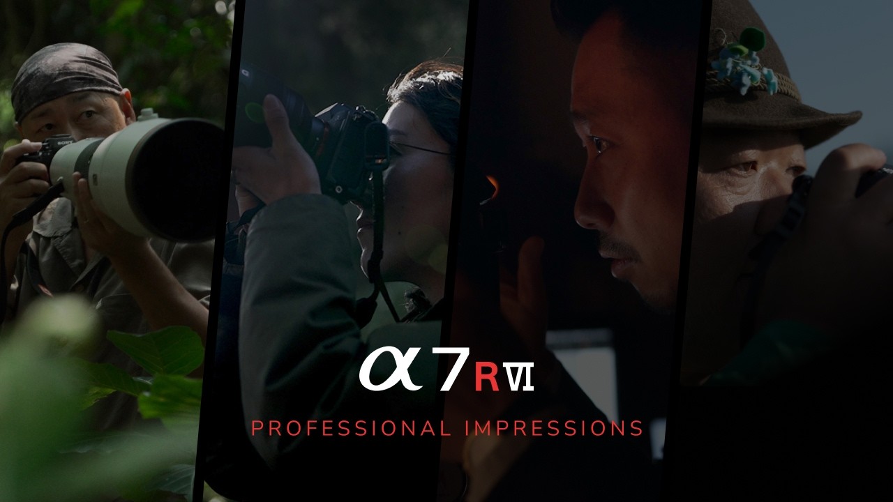 SONY α7R VI | MAP RENTAL