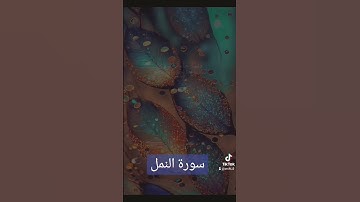 سورة النمل #دويتو #دعاء #quran #فولو #حالات_واتس #دعاءمستجاب #quran