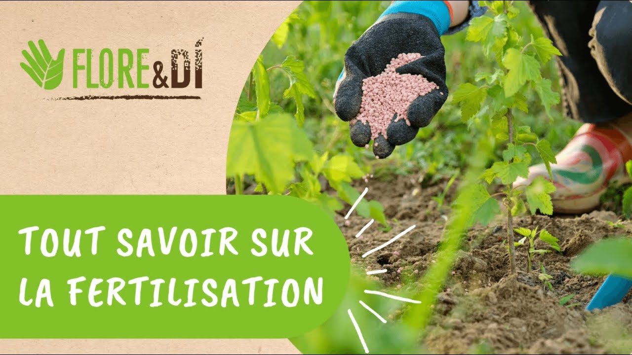 TOUT SAVOIR SUR LA FERTILISATION ! 🌱☀️💧