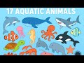 Aquatic Animals Names | 17 Ocean Animals for Kids and Beginners