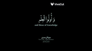 سورة آل عمران المنشاوي