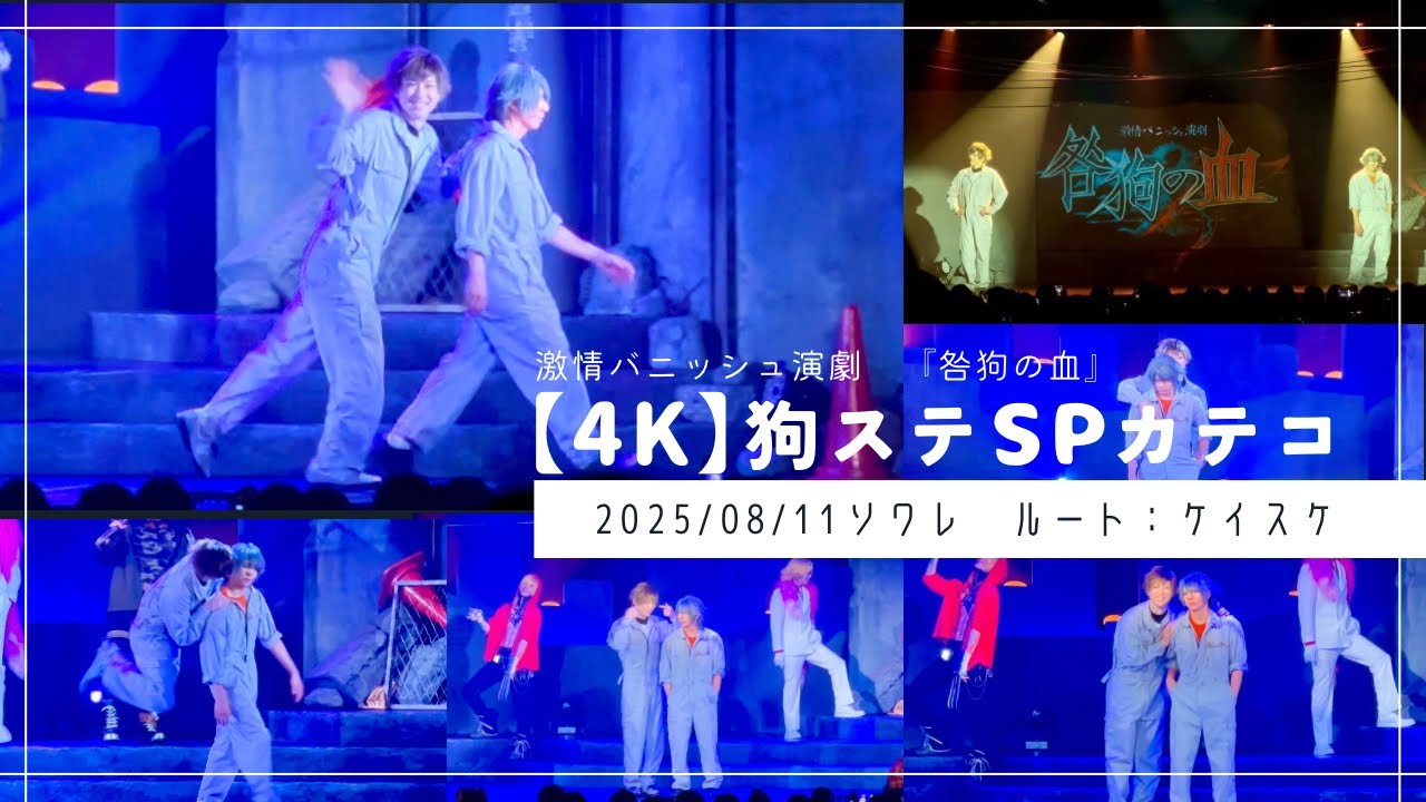【4K】 狗ステ（咎狗の血） ケイスケルート 撮影OKカテコ 20250811