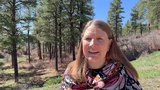 Hidden Origins of the Alchemist Archetype