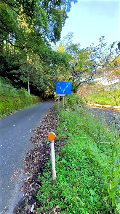 Y junction: Kugino, Minamata, Kumamoto, Japan #japanesecountryside #japaneselandscape  #travel