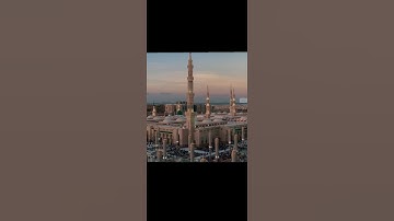 آيات من سورة الزمر بصوت نقي، القارىء (ماهر المعيقلي)