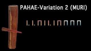 PAHAE Variation 2 (MURI) with tabs