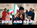 Dixie D'amelio & Noah Beck New TikTok Compilation Together!!