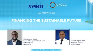 Financing the Sustainable Future