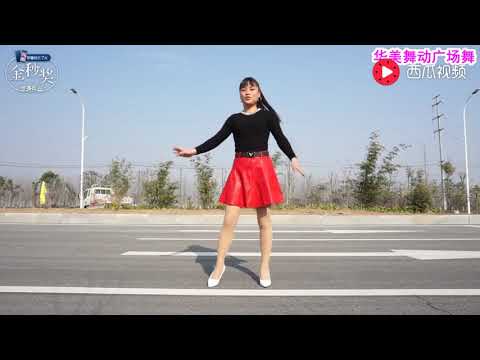 华美舞动广场舞《郎才女貌》动感韵律现代舞 好听好看
