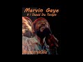 Marvin Gaye ~ If I Should Die Tonight