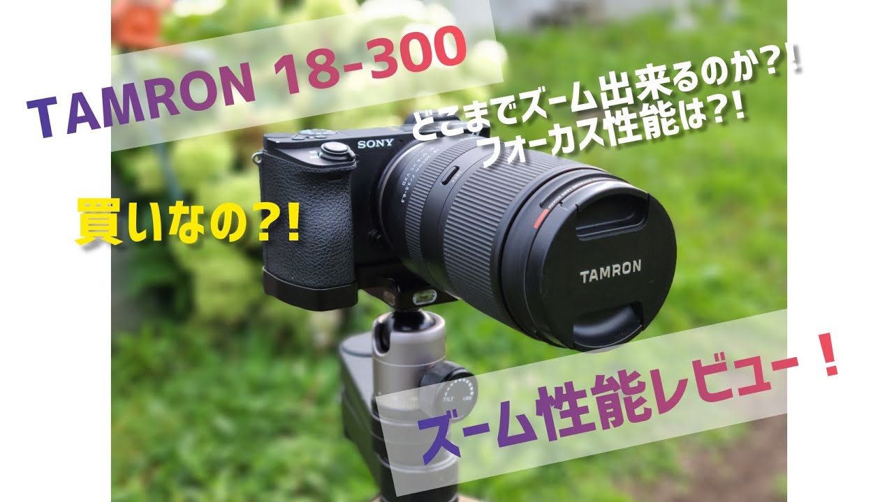 【レンズレビュー】TAMRON 18-300mm の超望遠、どこまで寄れる？！/α6500 - YouTube