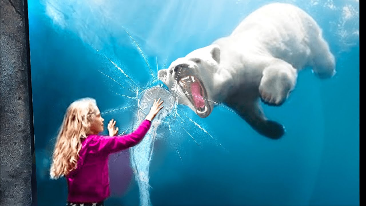brumas polar bear fish tank Decor,Arctic Iceberg and Landscape - Craft Resin Ornament for Fish Tanks Aquariums Decoration : Buy Online at Best Price in KSA 6,265 Polar Bears In Zoo
