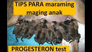 TIPS para marami maging ANAK