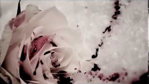 The Hunger Games Title Sequence