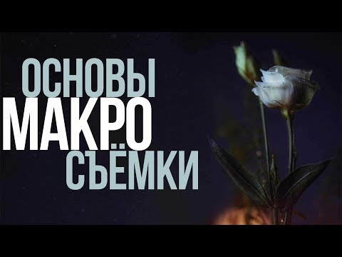 Основы макросъемки с Canon RF 35mm F1.8 Macro IS STM | Видеоурок