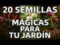 20 Semillas que Sustituyen el Mulch en tu Jardín para Siempre