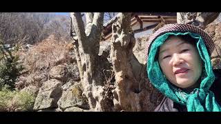 &#39;25 고려 광종이 머문 도덕암(칠곡)