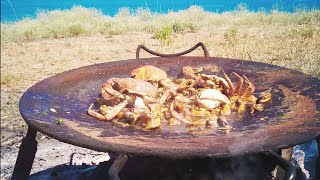 ЛУЧШИЙ РЕЦЕПТ МИДИЙ НА ОГНЕ / Ловим и Готовим Одесских Черноморских Мидий / Mussels Recipe