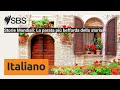 Storie Mondiali: La parata più beffarda della storia | SBS Italian - SBS in Italiano