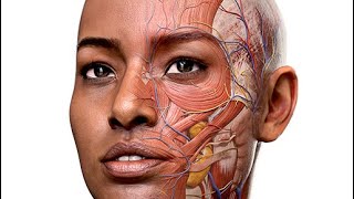 Tutorial : How to Get an Infinite Free Trial on the Complete Anatomy App screenshot 5