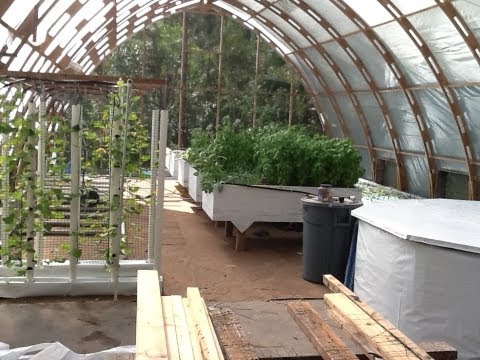 Video: Arches Kwa Greenhouses, Canopies, Canopies