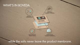 WHAT'S INSIDE BOVEDA