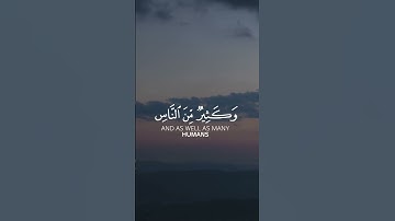 تلاوات خاشعه❤️ (من سورة الحج )